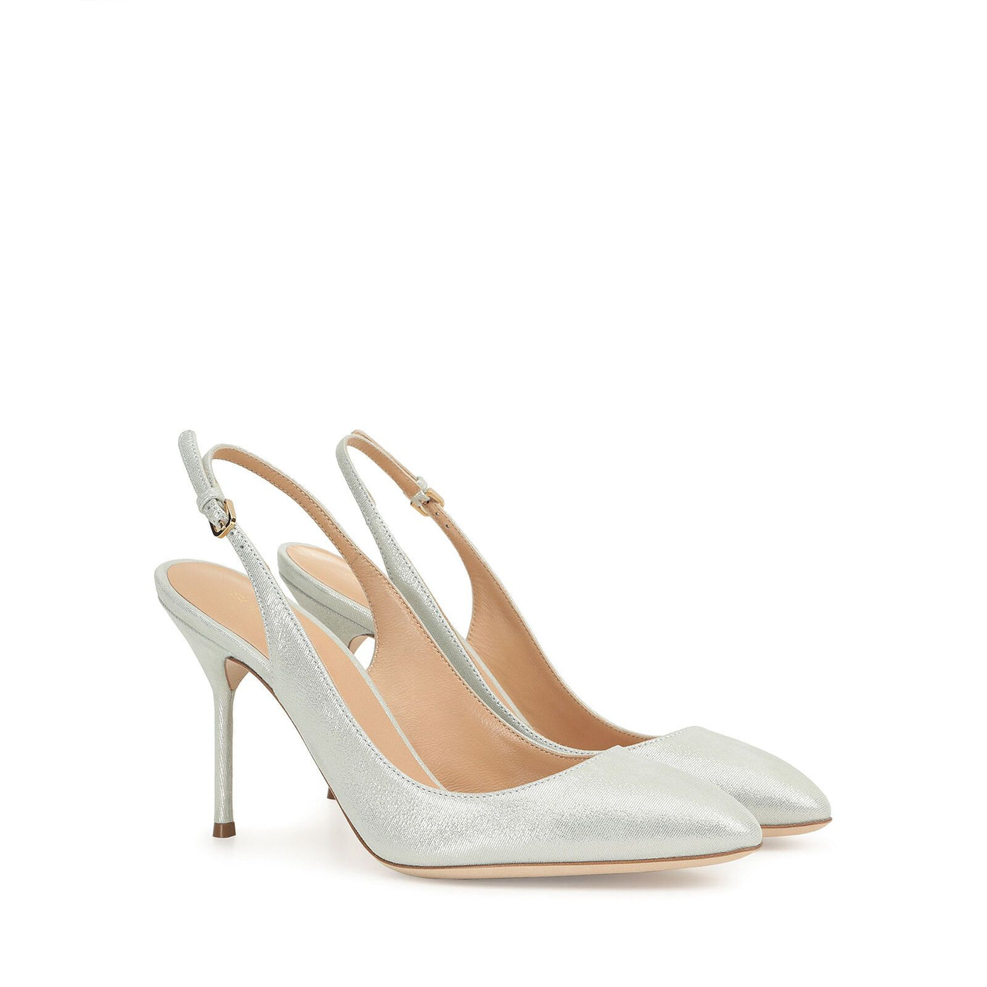 Pumps Sergio Rossi